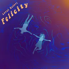 Felicity Song Lyrics