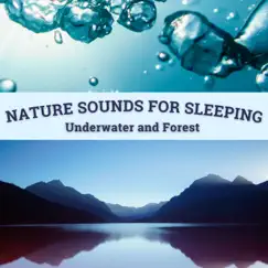 Nature Sounds for Sleeping - Underwater and Forest by Every Night Alder album reviews, ratings, credits