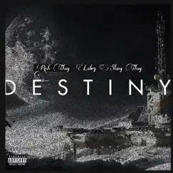 Destiny (Radio Edit) Song Lyrics