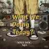 What We Doing Today? (feat. Mel) - Single album lyrics, reviews, download