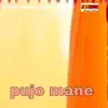 Pujo Mane - Single album lyrics, reviews, download