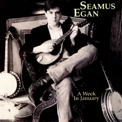 A Week In January by Seamus Egan album reviews, ratings, credits