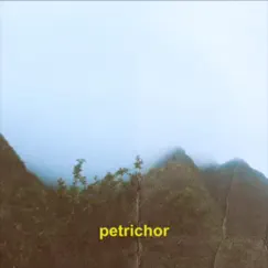 Petrichor - Single by Kevin Hutchens album reviews, ratings, credits