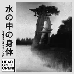Bodies In Water by HEADSPLITOPEN! album reviews, ratings, credits