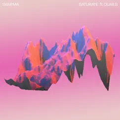 Saturate (feat. Quails) Song Lyrics