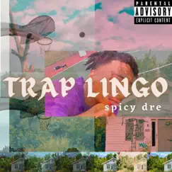 Trap Lingo by Lil Dre Aka Spicy Dre album reviews, ratings, credits