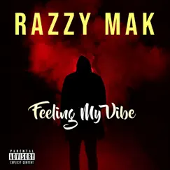 Feeling My Vibe - Single by Razzy Mak album reviews, ratings, credits