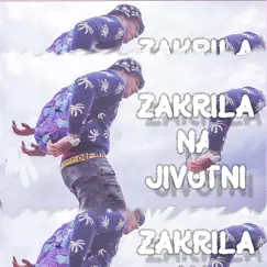 Zakrila Na Jivotni - Single by RARE BOI album reviews, ratings, credits