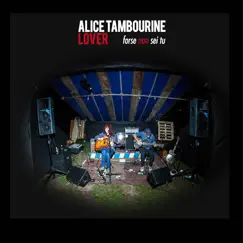 Forse Non Sei Tu - Single by Alice Tambourine Lover album reviews, ratings, credits