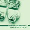 Serenidade Irlandesa - Sons Celtas de Calma: Spa, Relaxamento, Retiro de Meditação album lyrics, reviews, download