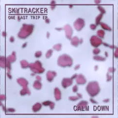 Calm Down - Single by Skytracker album reviews, ratings, credits