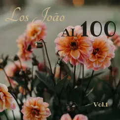 Los Joao al 100, Vol. 1 by Los Joáo album reviews, ratings, credits