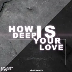 How Deep Is Your Love - Single by Hallasen, Dlay & Millows album reviews, ratings, credits