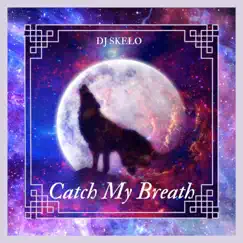 Catch My Breath - Single by DJ SKELO album reviews, ratings, credits