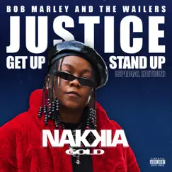 Justice (Get Up, Stand Up) [Live] Song Lyrics