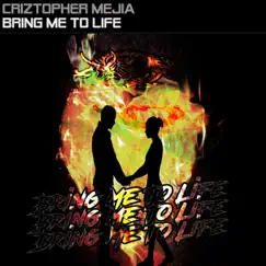 Bring Me to Life (Extended Mix) Song Lyrics