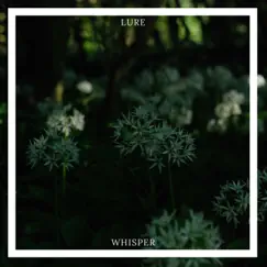 Whisper - EP by Lure album reviews, ratings, credits