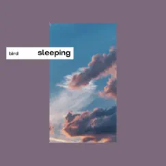 Sleeping - Single by BIRD album reviews, ratings, credits