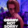 Sorry Not Sorry - Single album lyrics, reviews, download