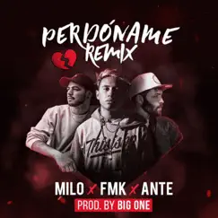 Perdóname (Remix) Song Lyrics