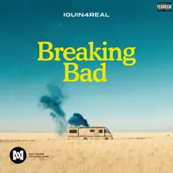 Breaking Bad - Single by Iguin4real album reviews, ratings, credits