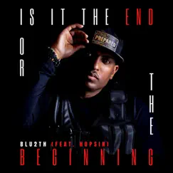 Is It the End or the Beginning (feat. Hopsin) - Single by BLU2TH album reviews, ratings, credits