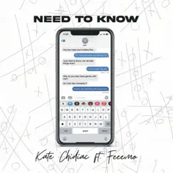 Need to Know (feat. Feeemo) - Single by Kate Chidiac album reviews, ratings, credits