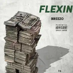 Flexin - Single by BREEZO CAM album reviews, ratings, credits