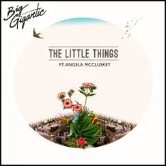 The Little Things (feat. Angela McCluskey) - Single by Big Gigantic album reviews, ratings, credits