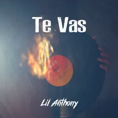 Te Vas - Single by Lil Anthony album reviews, ratings, credits