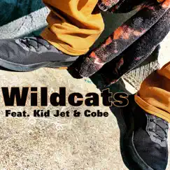 Wildcats (feat. KidJet & Cobe) - Single by Hybrid the Rapper album reviews, ratings, credits