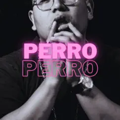PERRO Song Lyrics