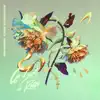 Ça Sert à Rien (feat. Emms & Broederliefde) - Single album lyrics, reviews, download