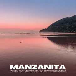 Manzanita - Single by Farnell Newton, Toranpetto & BrandonLee Cierley album reviews, ratings, credits