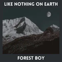 Like Nothing on Earth - Single by Forest Boy album reviews, ratings, credits