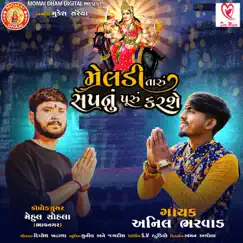 Meldi Taru Sapnu Puru Karse - Single by Anil Bharwad album reviews, ratings, credits