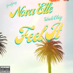 Feel It (feat. Uncle Obey) Song Lyrics