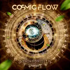 Synchronicity by Cosmic Flow album reviews, ratings, credits