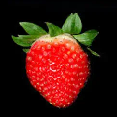 Strawberry Song Lyrics