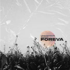 Foreva - Single by UpsideDown & Iconyk album reviews, ratings, credits