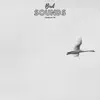 Bird Sounds For Anxiety song lyrics