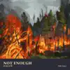 Not Enough - Single album lyrics, reviews, download