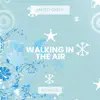Walking In the Air (Acoustic) - Single album lyrics, reviews, download