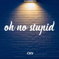 Oh No Stupid - Single by Ckv album reviews, ratings, credits