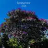Springtime - Single album lyrics, reviews, download