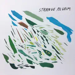 Blue Light (Remix) - Single by Strange Pilgrim album reviews, ratings, credits