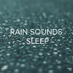 Study Background Rain Song Lyrics