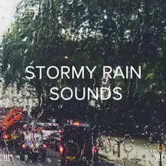 Study Background Rain Song Lyrics