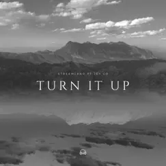 Turn It Up (feat. Jey Co) - EP by StreamLand album reviews, ratings, credits