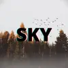 Sky (feat. Rebeca Machado) - Single album lyrics, reviews, download